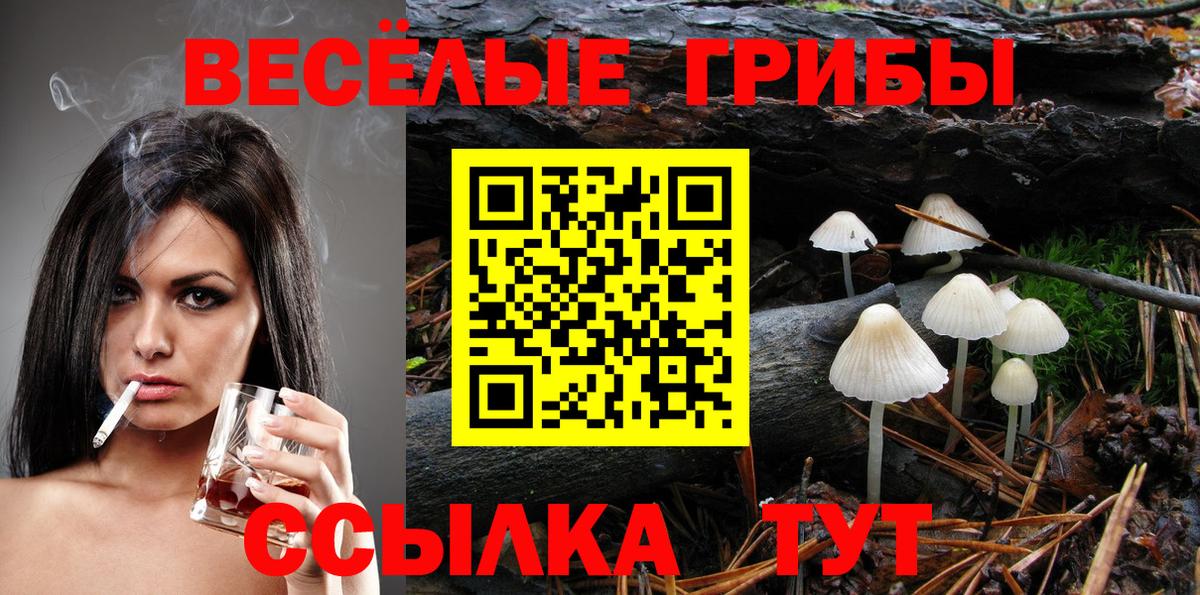 Галлюциногенные грибы мицелий  Вход с VPN  Мытищи  Псилоцибиновые грибы MAGIC MUSHROOMS 